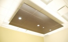 Wood Veneer Ceiling with LED Lighting