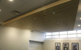 MLSE Ceiling