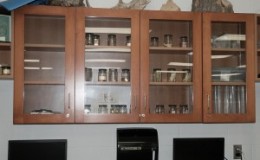 Specimen Lab Cabinet
