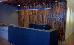 Angus Systems Reception Desk