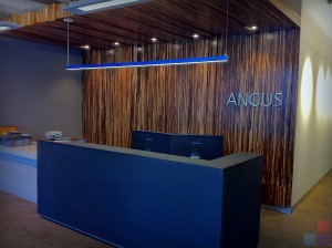 Angus Systems